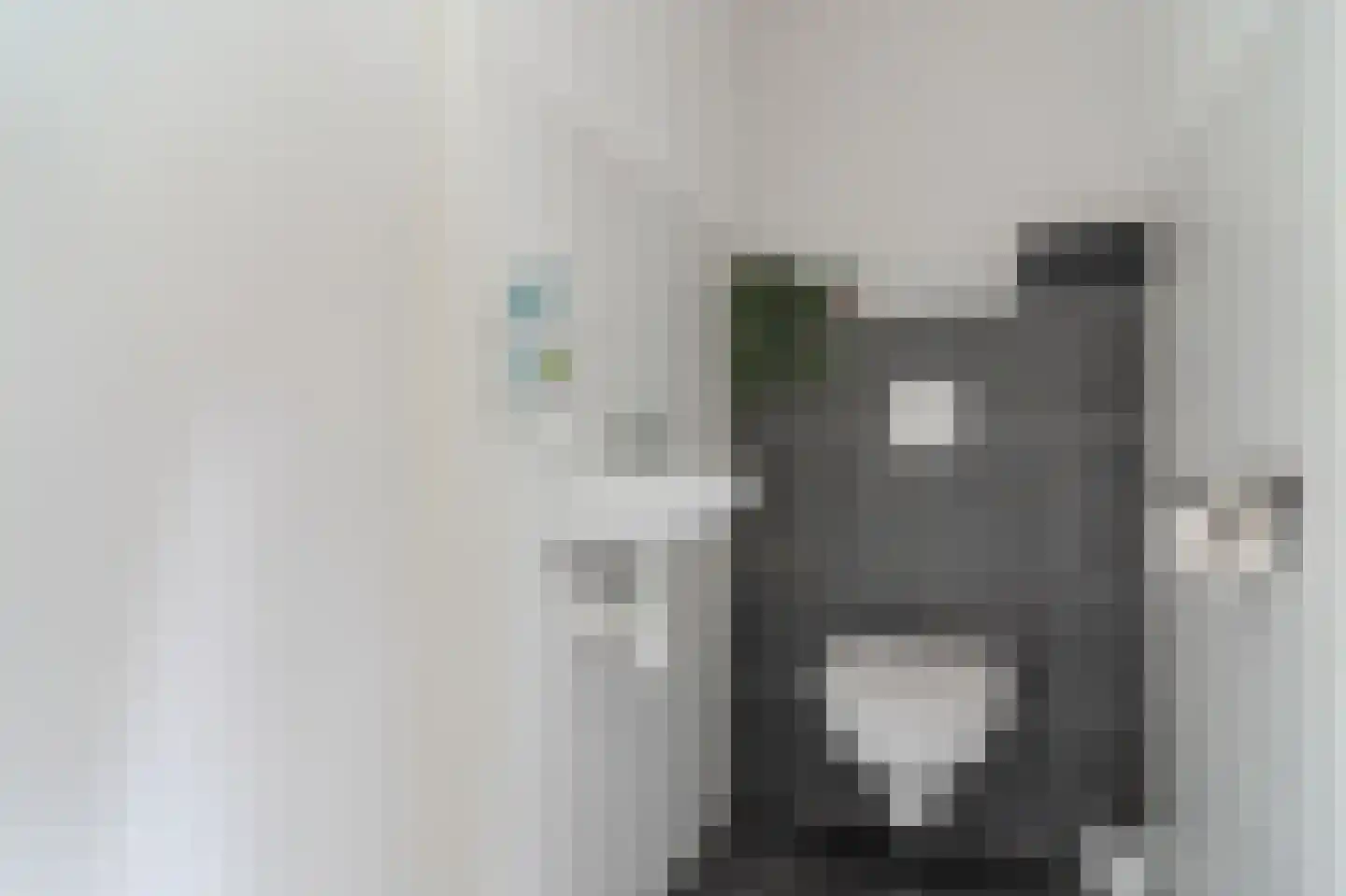 Kaap Hoorn 83 Hoorn thumbnail 13
