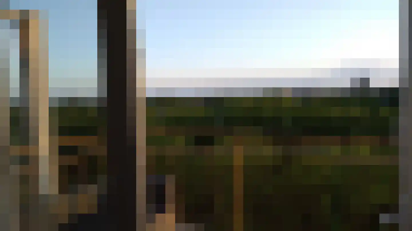 Kaap Hoorn 83 Hoorn thumbnail 23