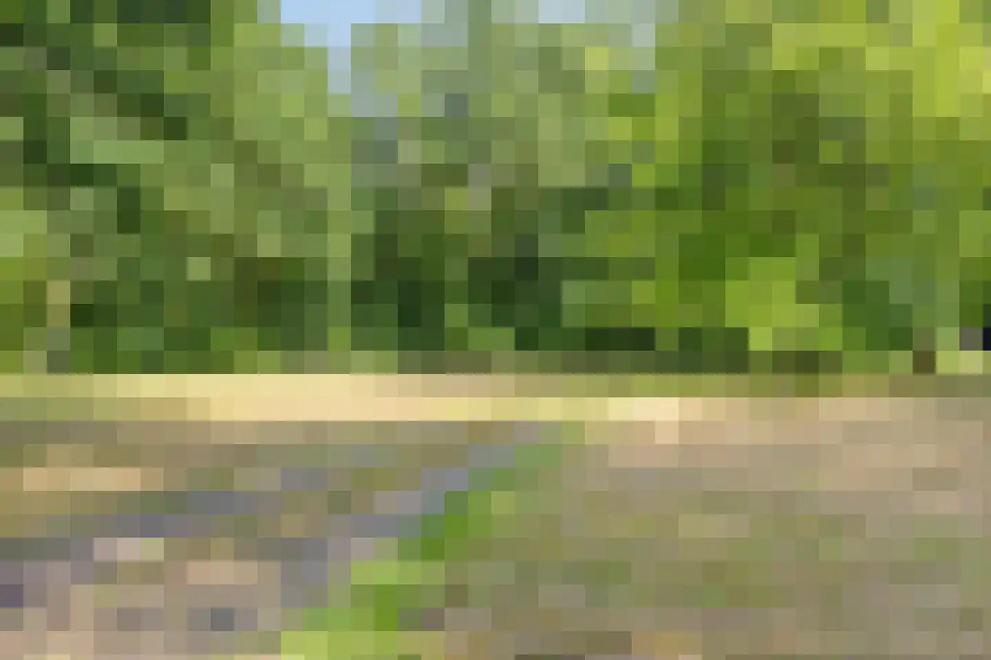 Kaapbergweg 1 67 Beekbergen thumbnail 63