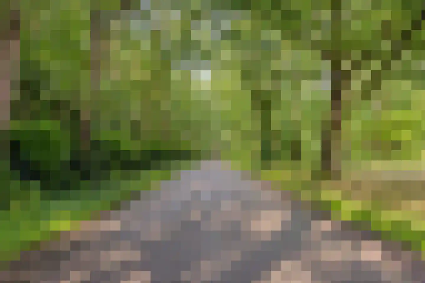 Kaapbergweg 1 67 Beekbergen thumbnail 64