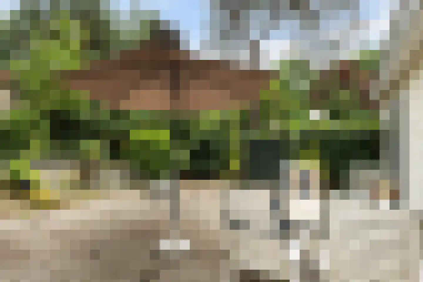 Kaapbergweg 1 9 Beekbergen thumbnail 4