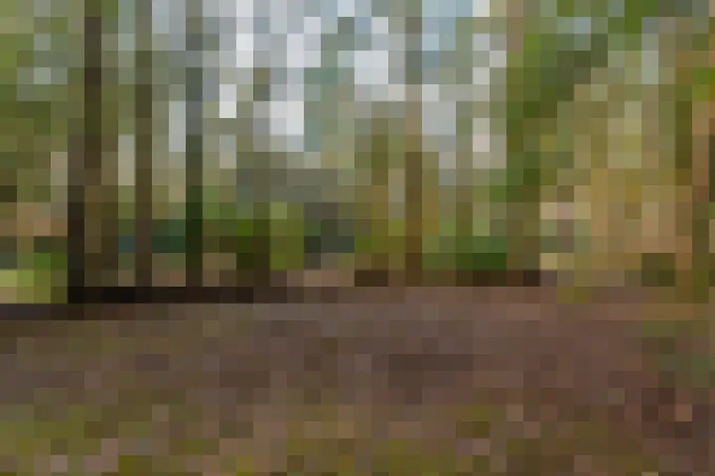 Kaapbergweg 15 Beekbergen thumbnail 11