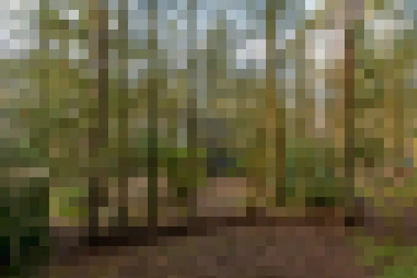 Kaapbergweg 15 Beekbergen thumbnail 12