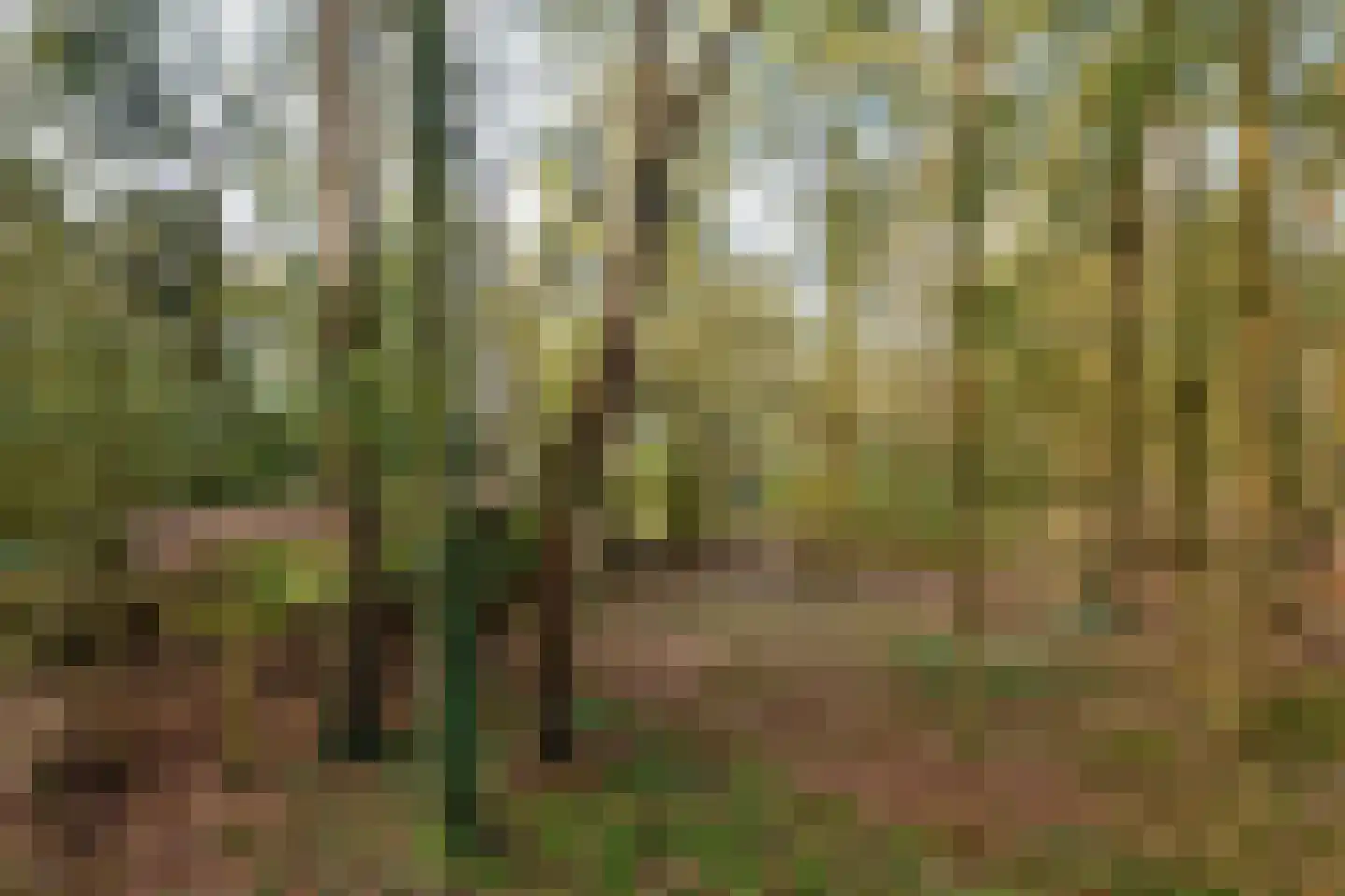 Kaapbergweg 15 Beekbergen thumbnail 13