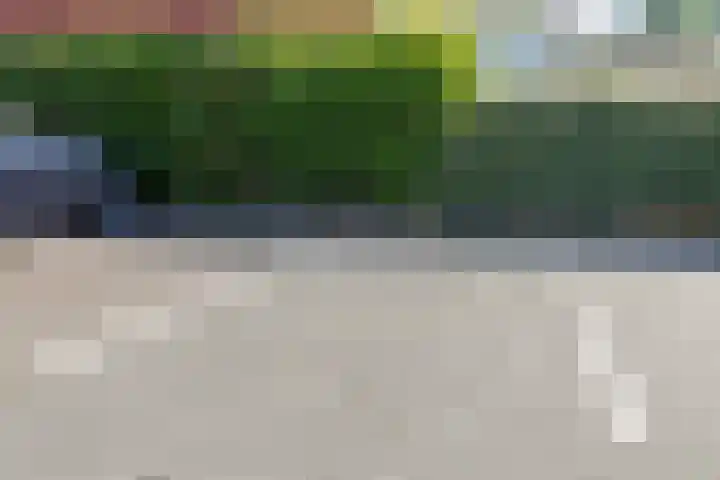 Kaapduinseweg 26 K Koudekerke thumbnail 30