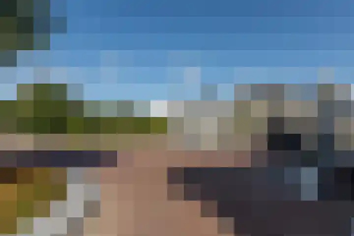 Kaapduinseweg 26 K Koudekerke thumbnail 33