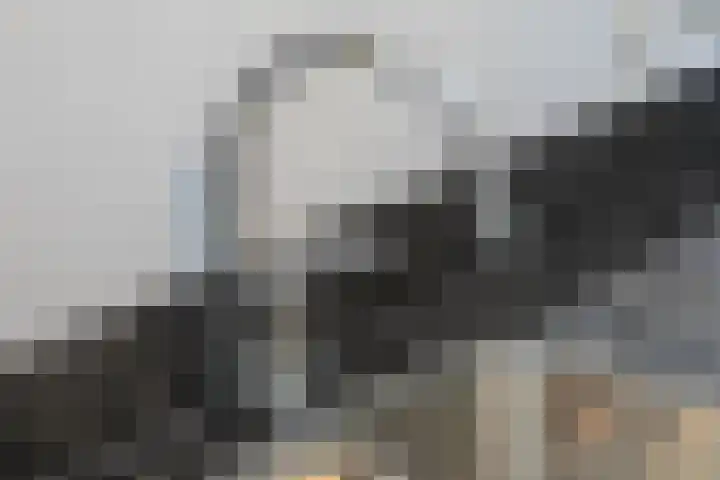 Kaapduinseweg 26 K Koudekerke thumbnail 38