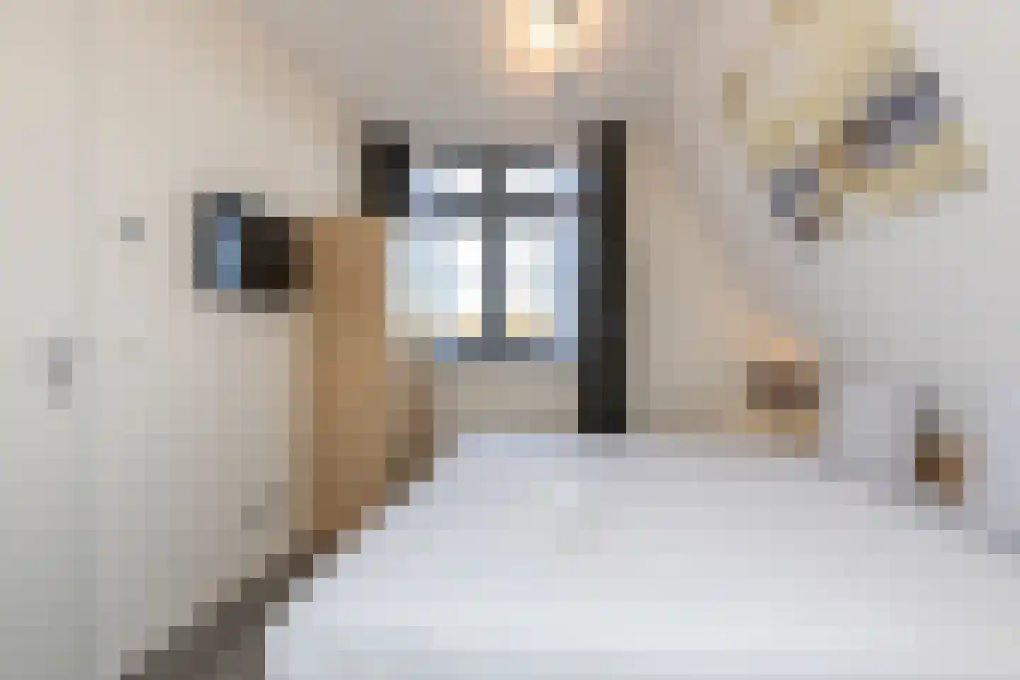 Kaapduinseweg 26 L Koudekerke thumbnail 21