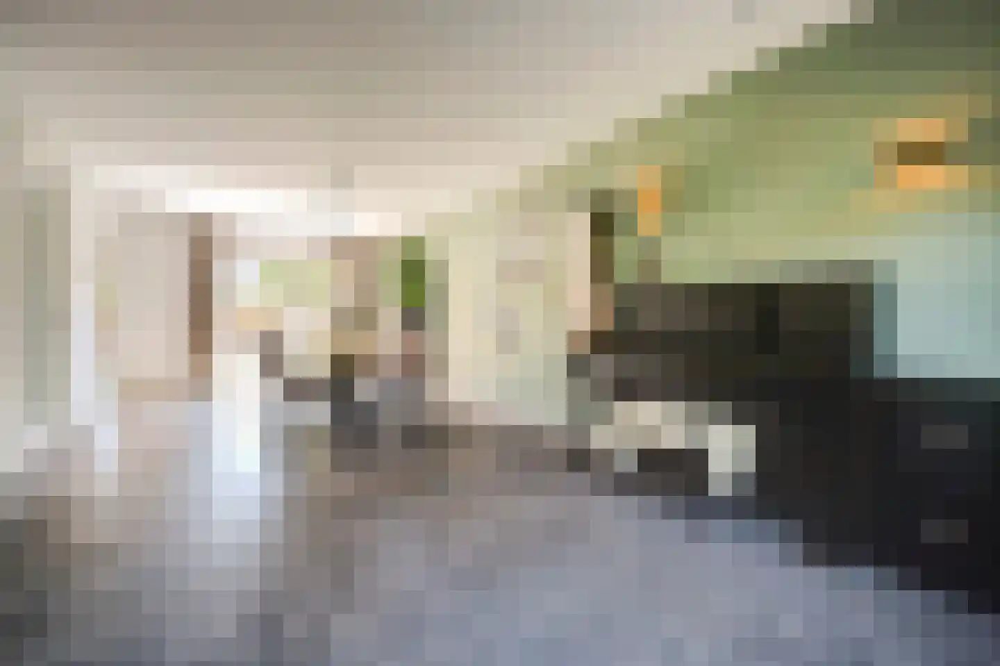 Kaapeind 9 Kerkdriel thumbnail 17