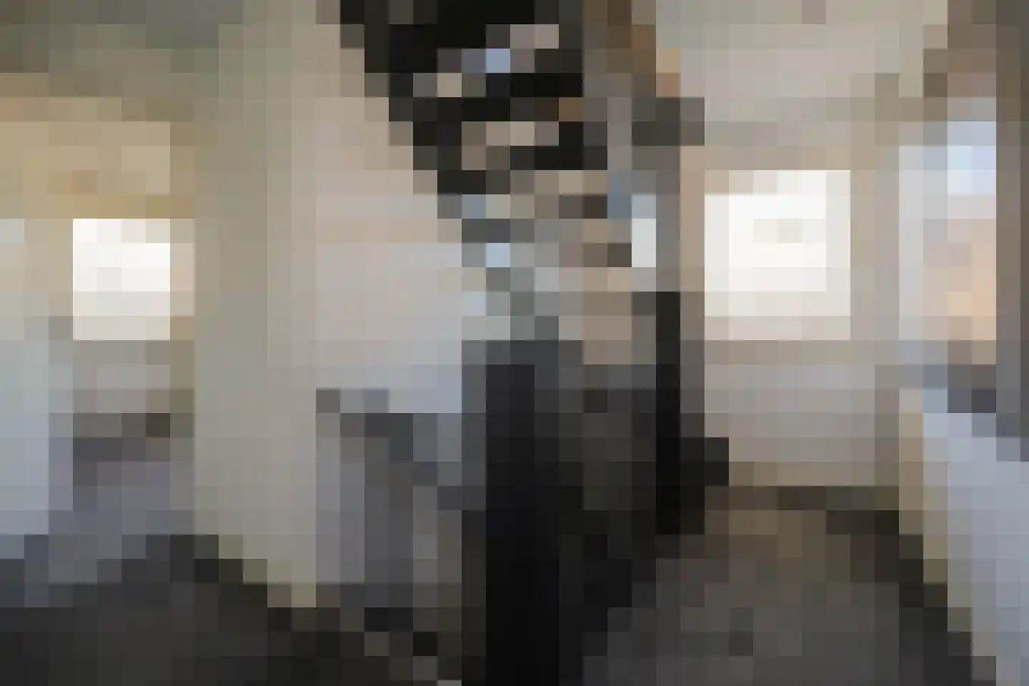 Kaapeind 9 Kerkdriel thumbnail 26