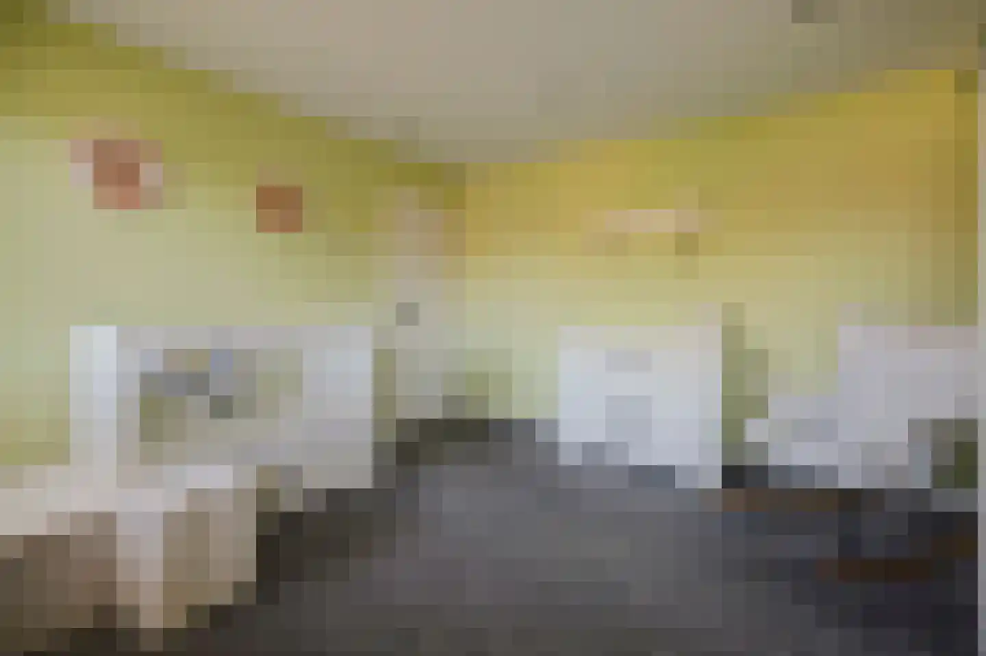 Kaapeind 9 Kerkdriel thumbnail 30