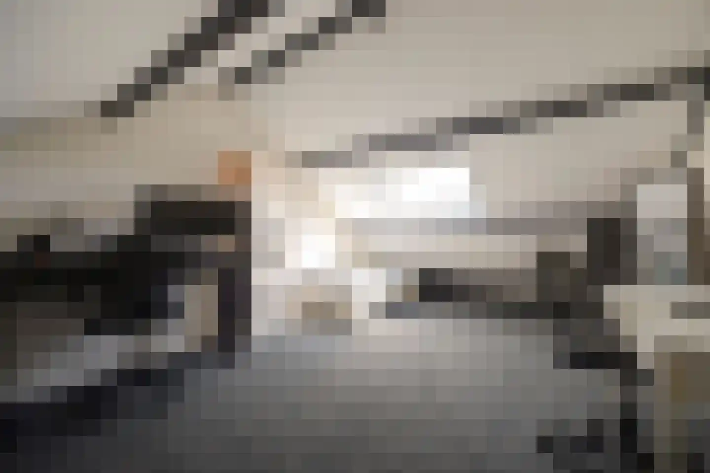 Kaapeind 9 Kerkdriel thumbnail 38