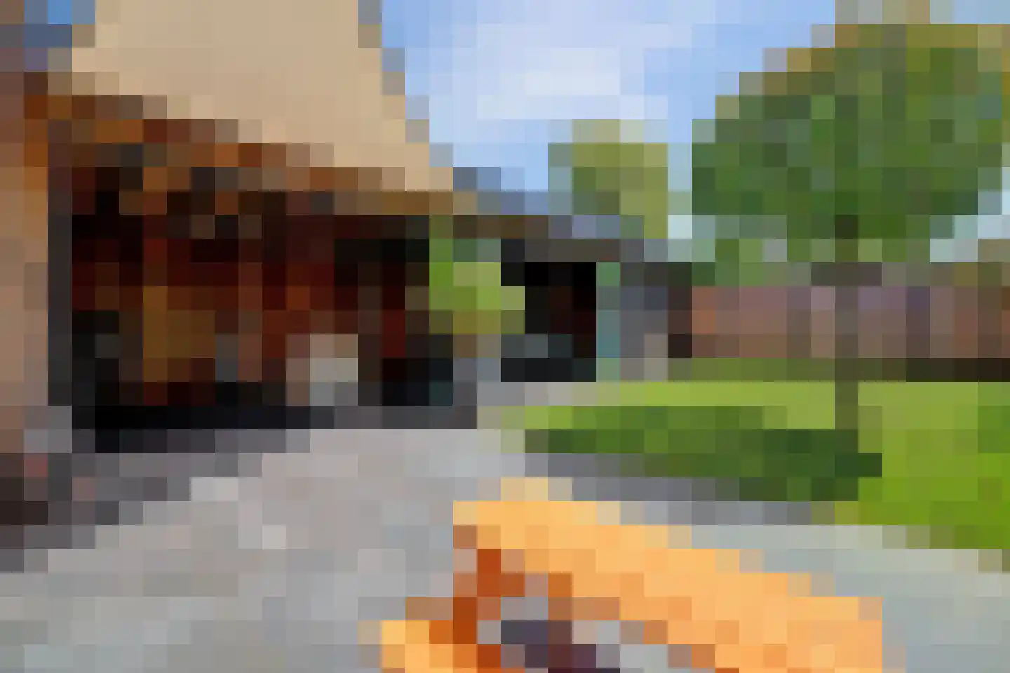 Kaapeind 9 Kerkdriel thumbnail 44
