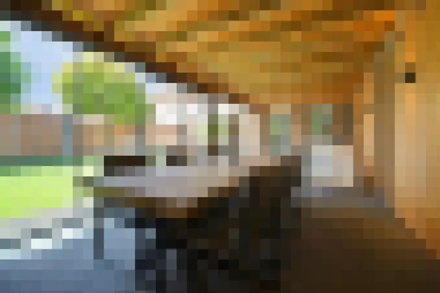 Kaapeind 9 Kerkdriel thumbnail 45
