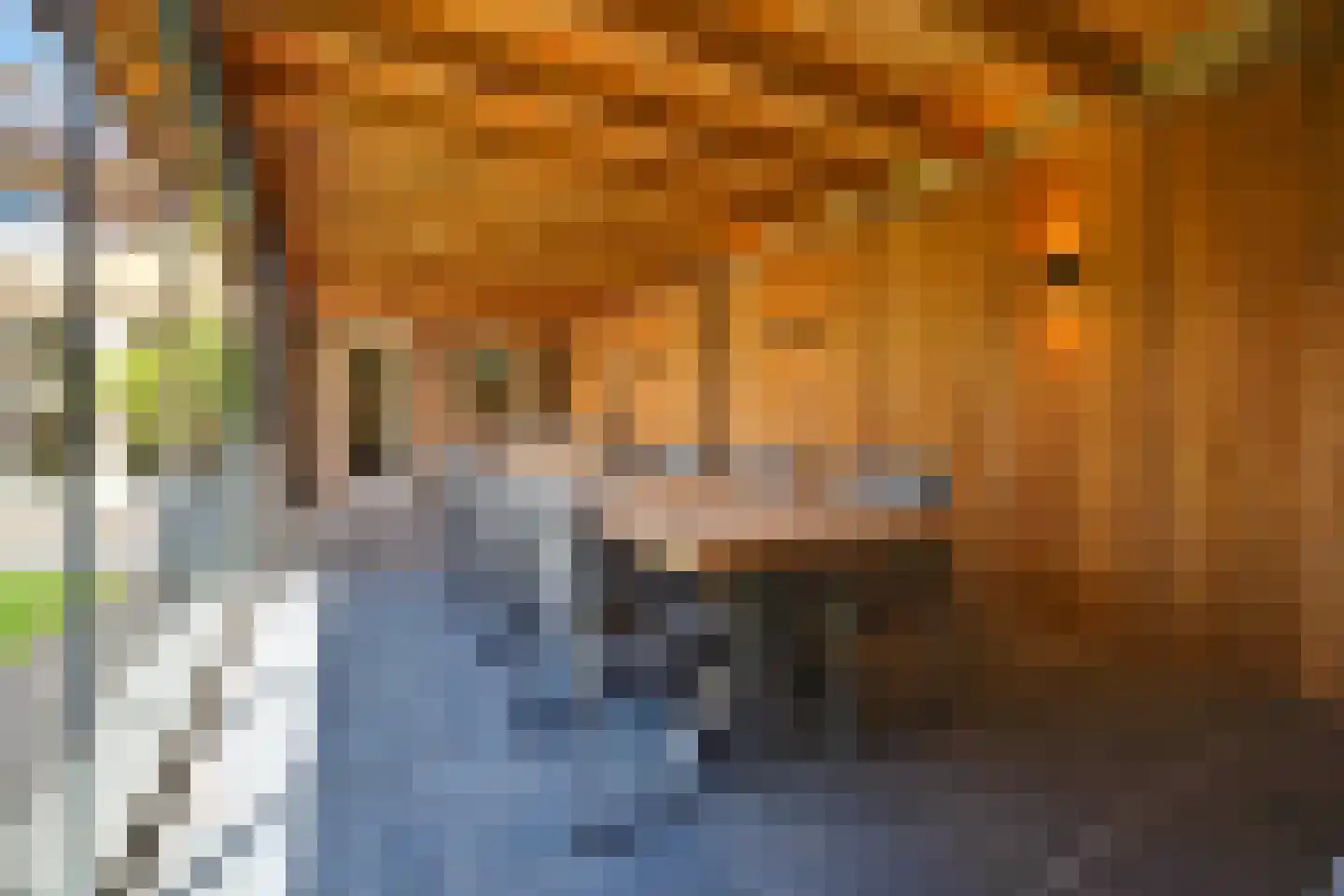 Kaapeind 9 Kerkdriel thumbnail 46