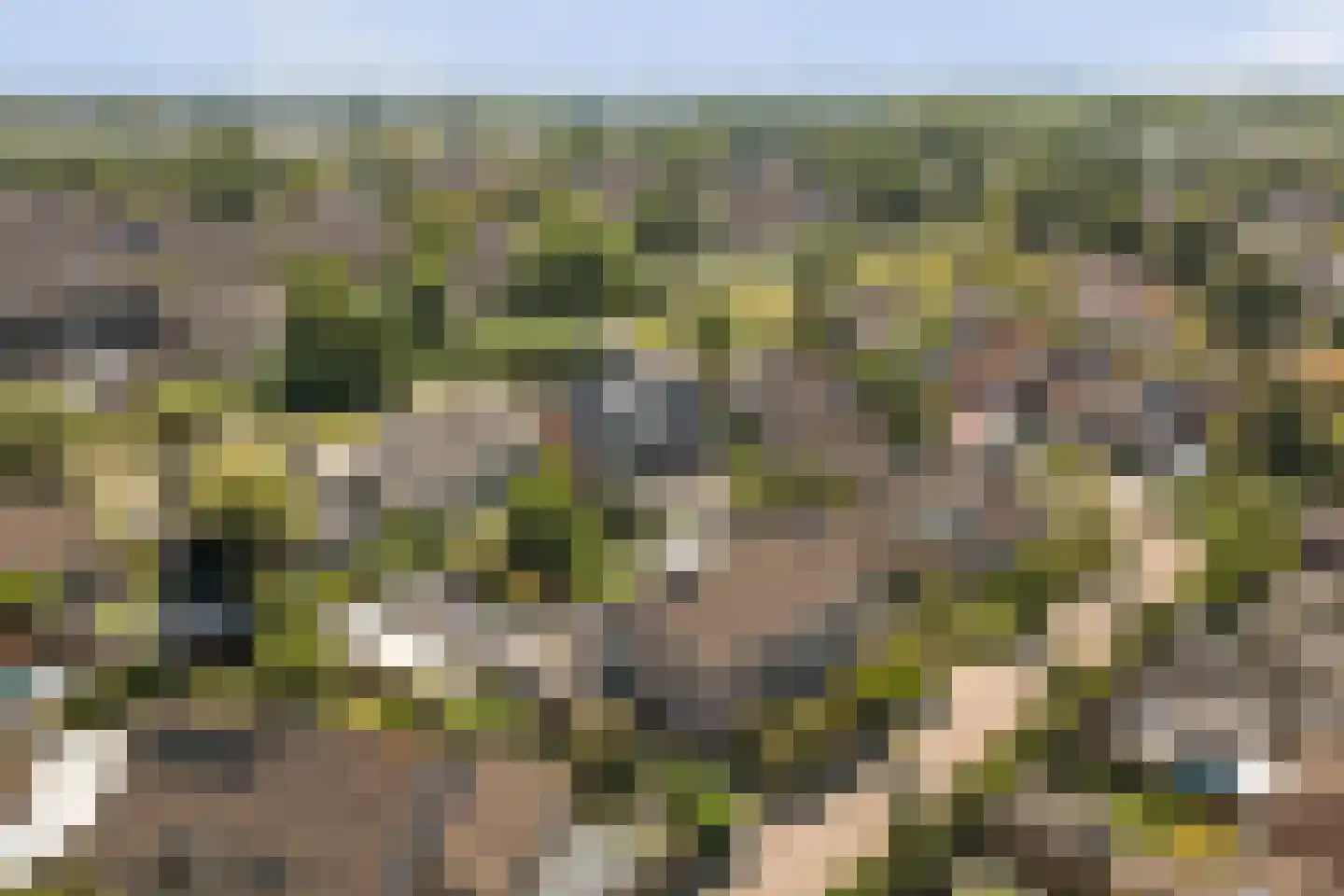 Kaapeind 9 Kerkdriel thumbnail 59