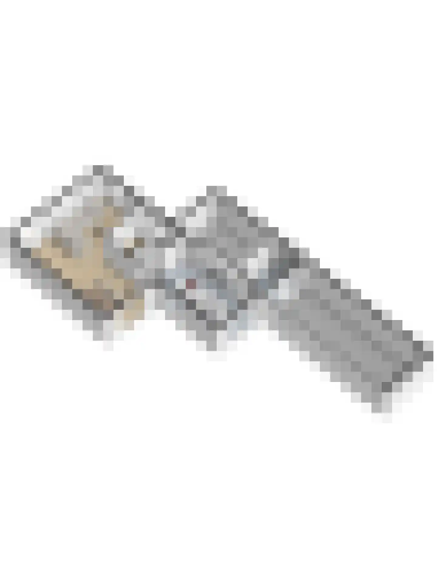 Kaapeind 9 Kerkdriel thumbnail 63