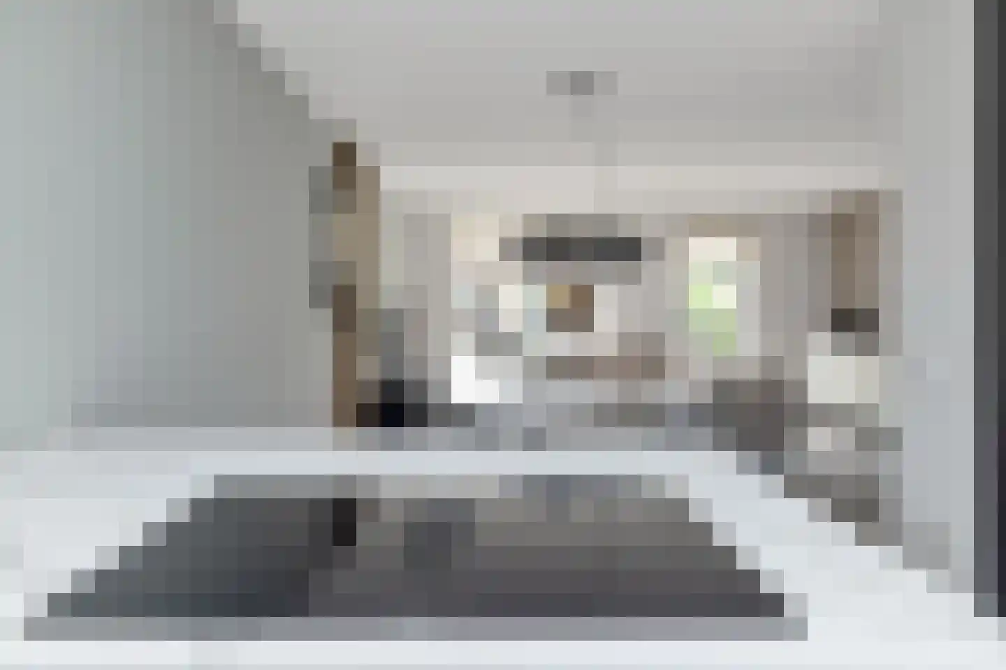 Kaapfeugel 18 Hippolytushoef thumbnail 12
