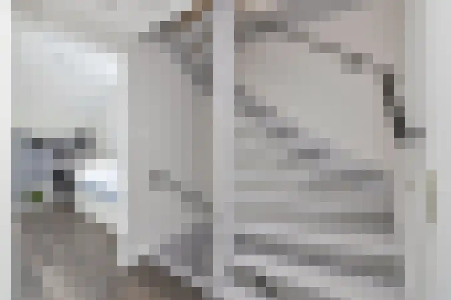 Kaapfeugel 18 Hippolytushoef thumbnail 16