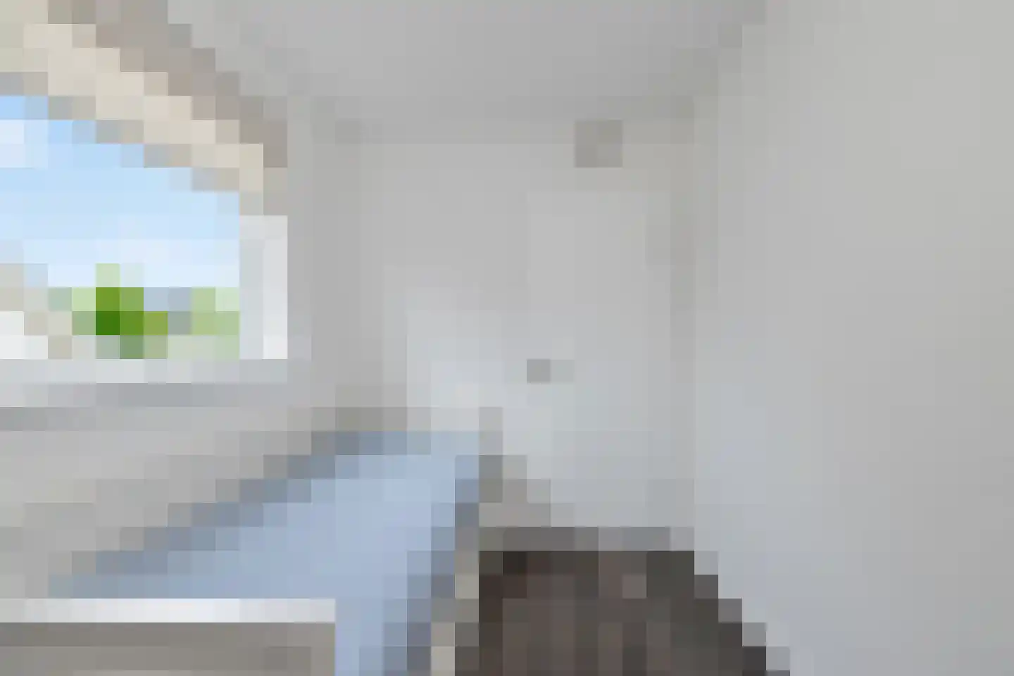 Kaapfeugel 18 Hippolytushoef thumbnail 21