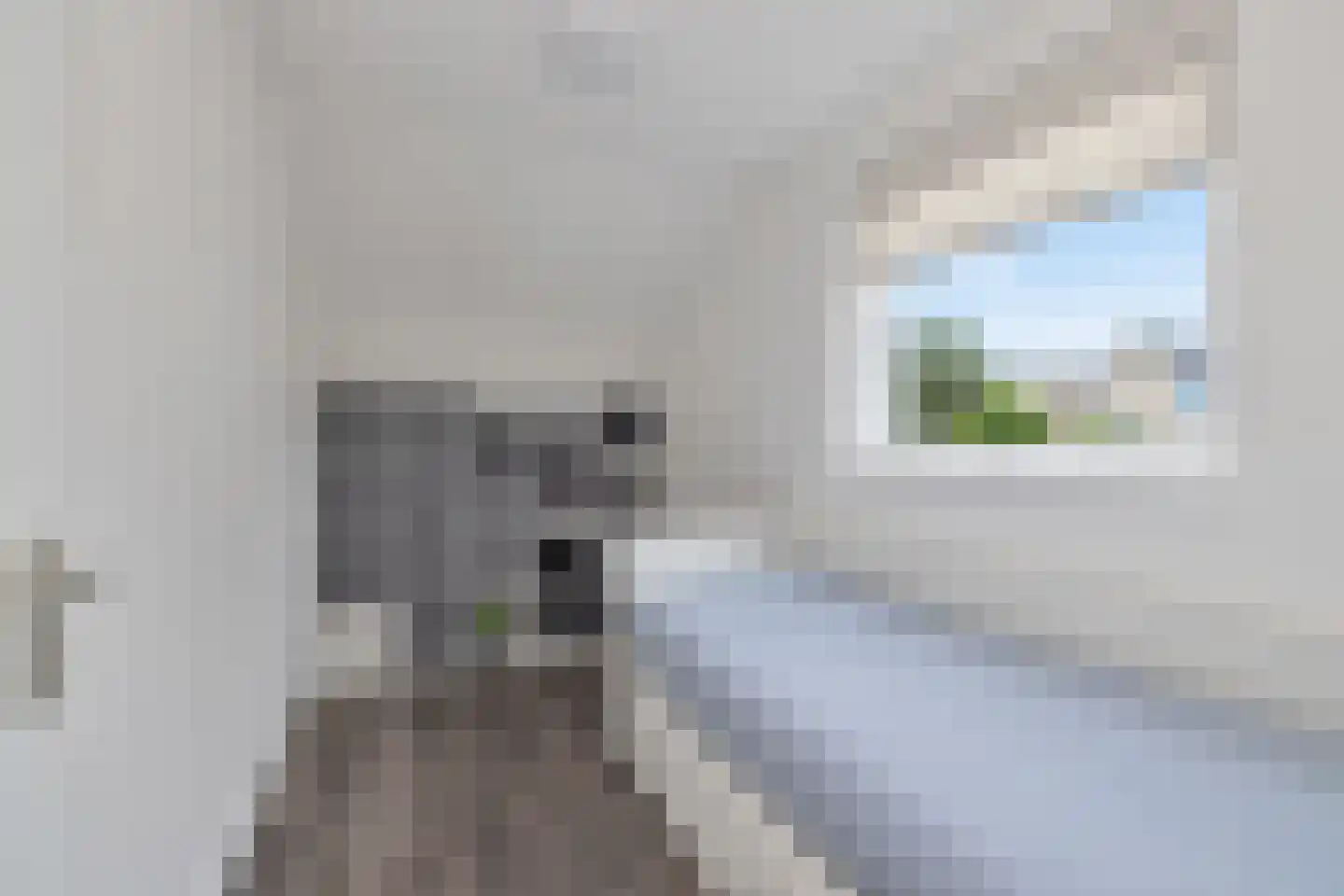 Kaapfeugel 18 Hippolytushoef thumbnail 22
