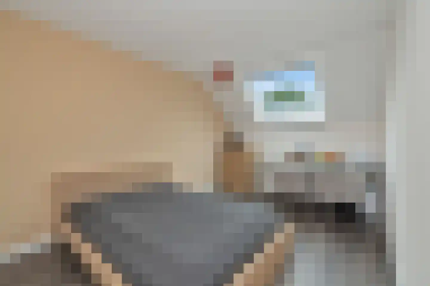 Kaapfeugel 18 Hippolytushoef thumbnail 24
