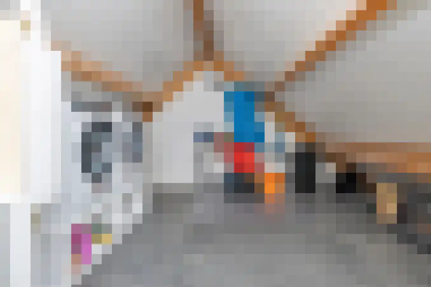 Kaapfeugel 18 Hippolytushoef thumbnail 28