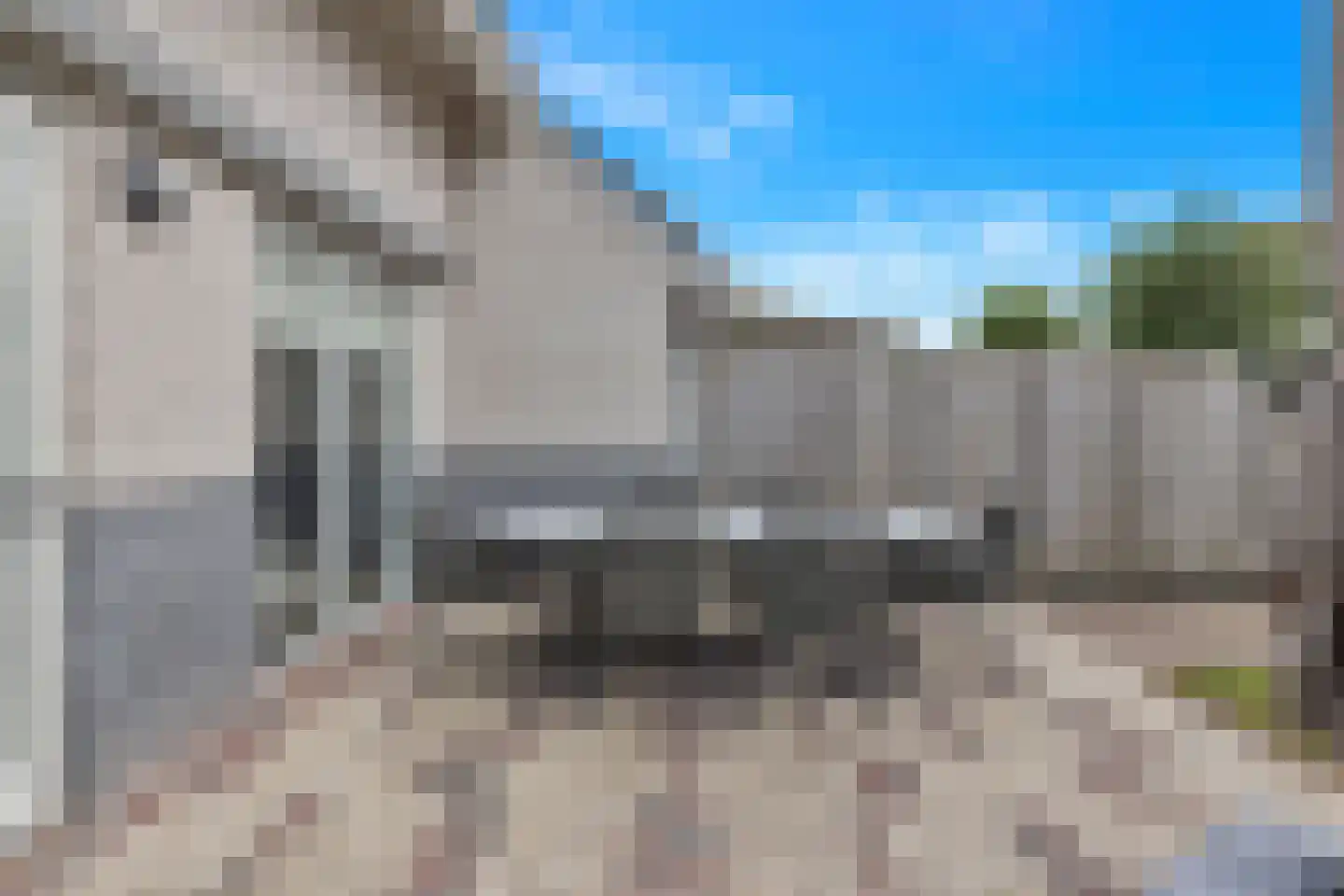 Kaapfeugel 18 Hippolytushoef thumbnail 33