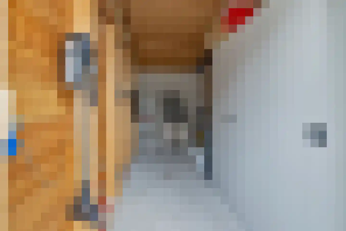 Kaapfeugel 18 Hippolytushoef thumbnail 35
