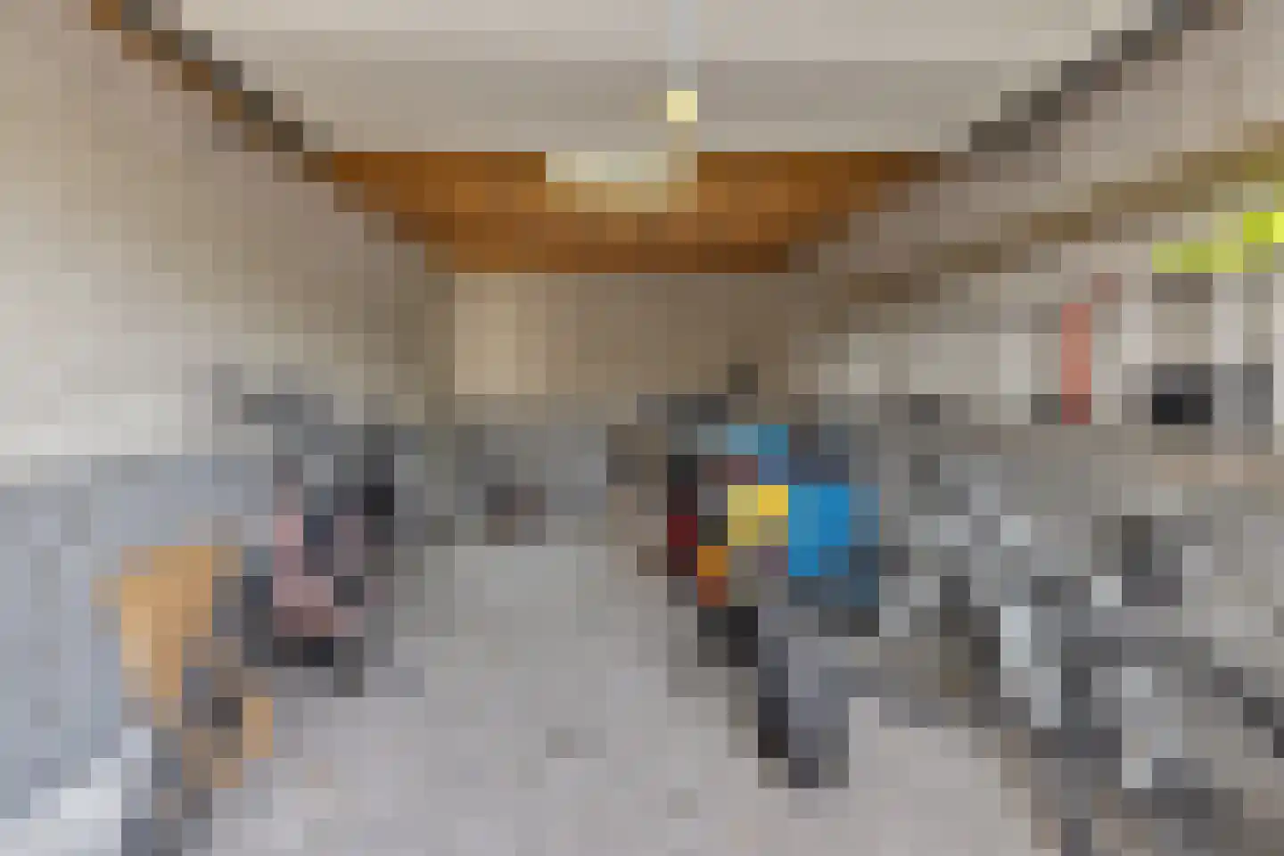 Kaapfeugel 18 Hippolytushoef thumbnail 36