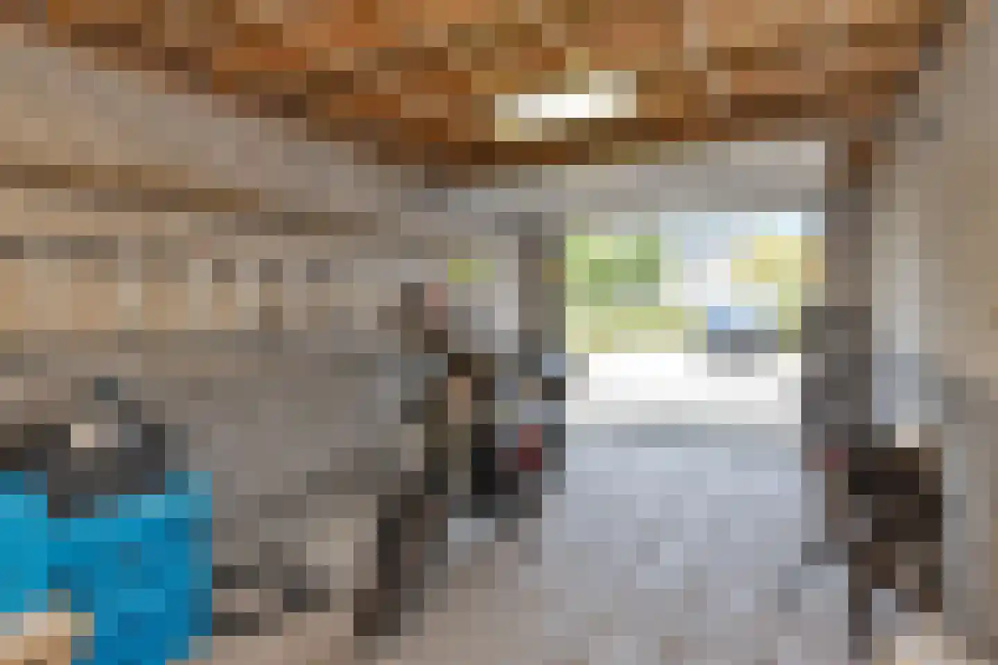 Kaapfeugel 18 Hippolytushoef thumbnail 37