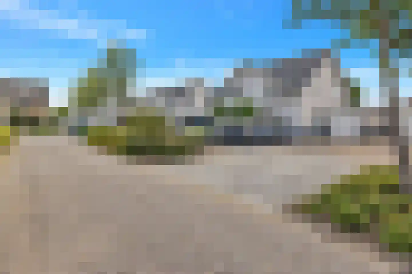 Kaapfeugel 18 Hippolytushoef thumbnail 39