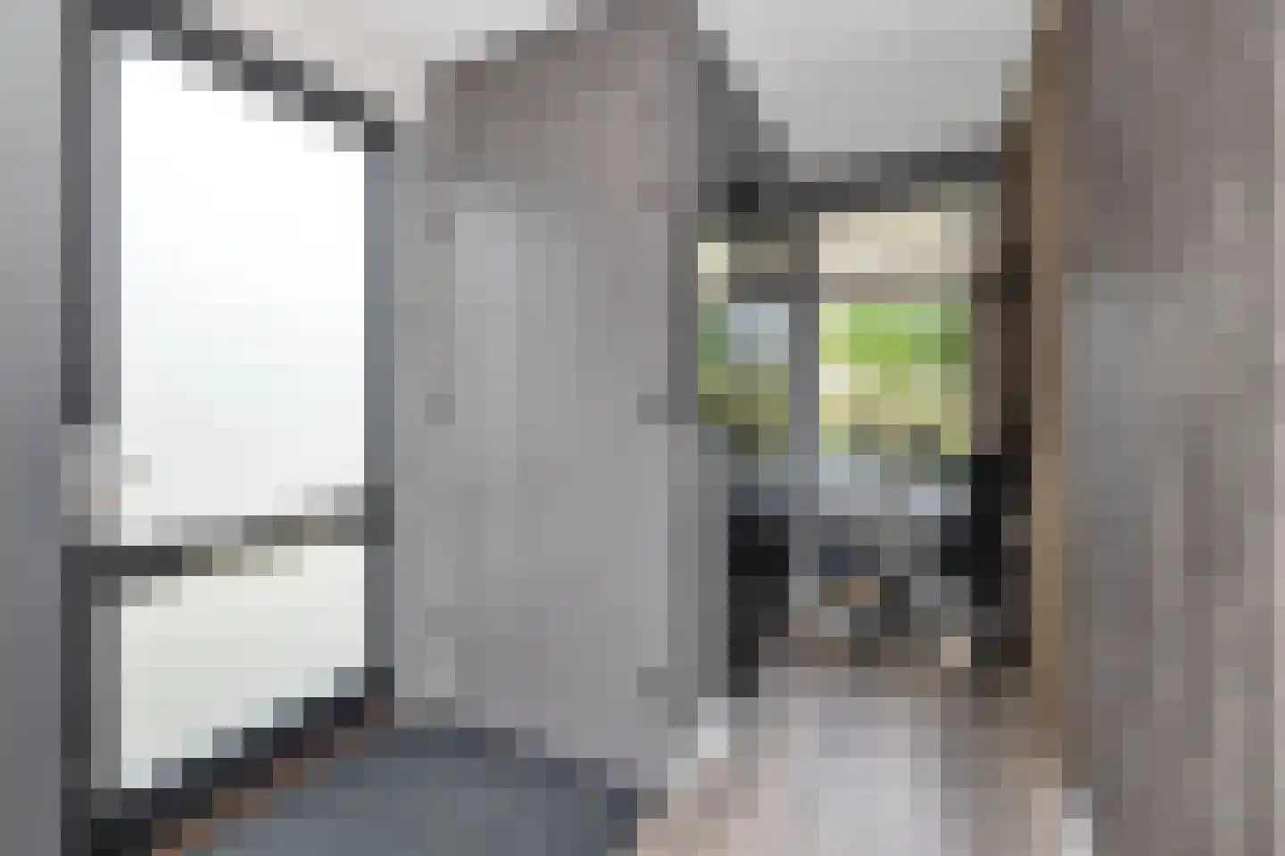 Kaapfeugel 18 Hippolytushoef thumbnail 6