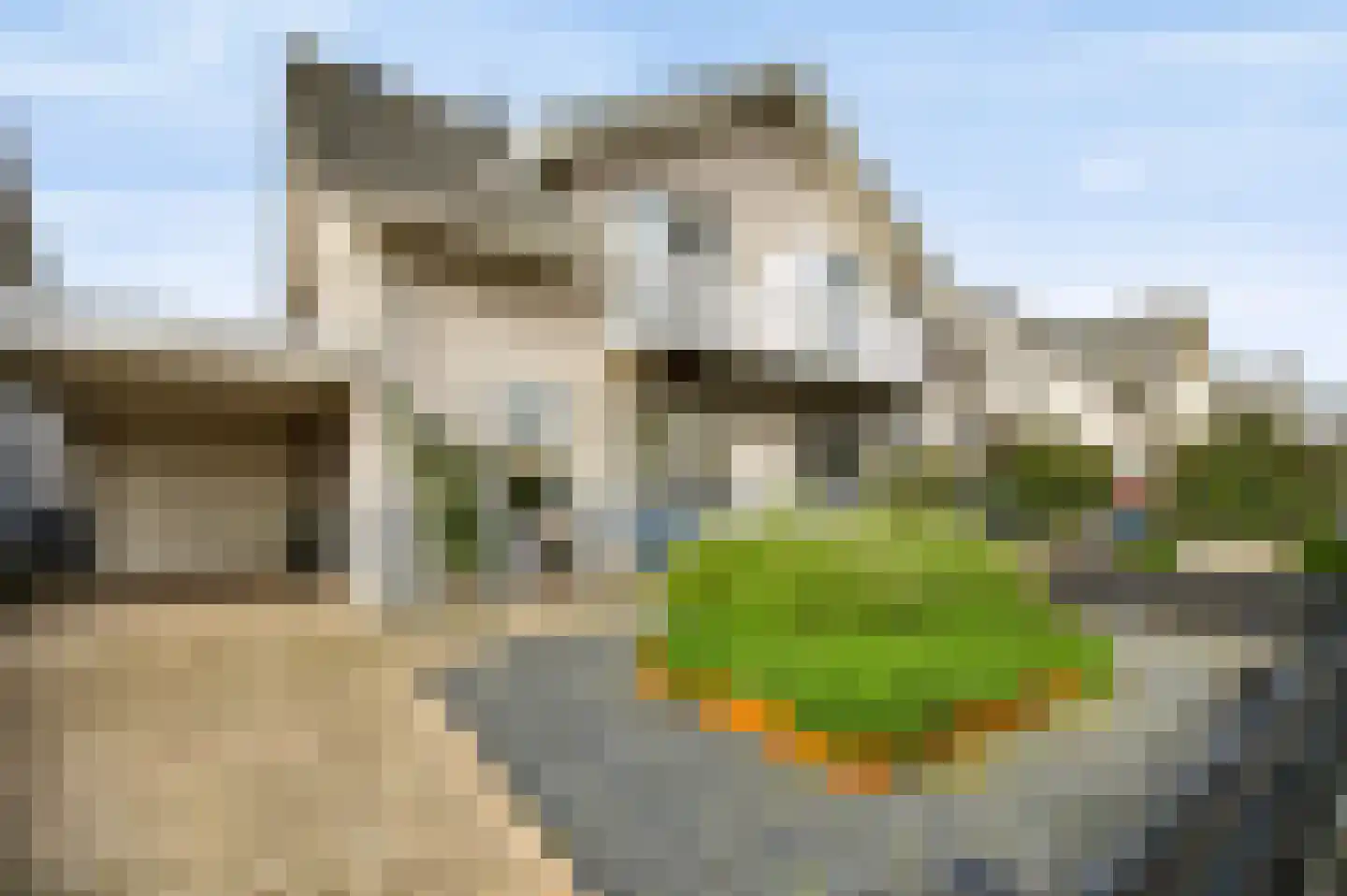 Kaapfeugel 32 Hippolytushoef thumbnail 11