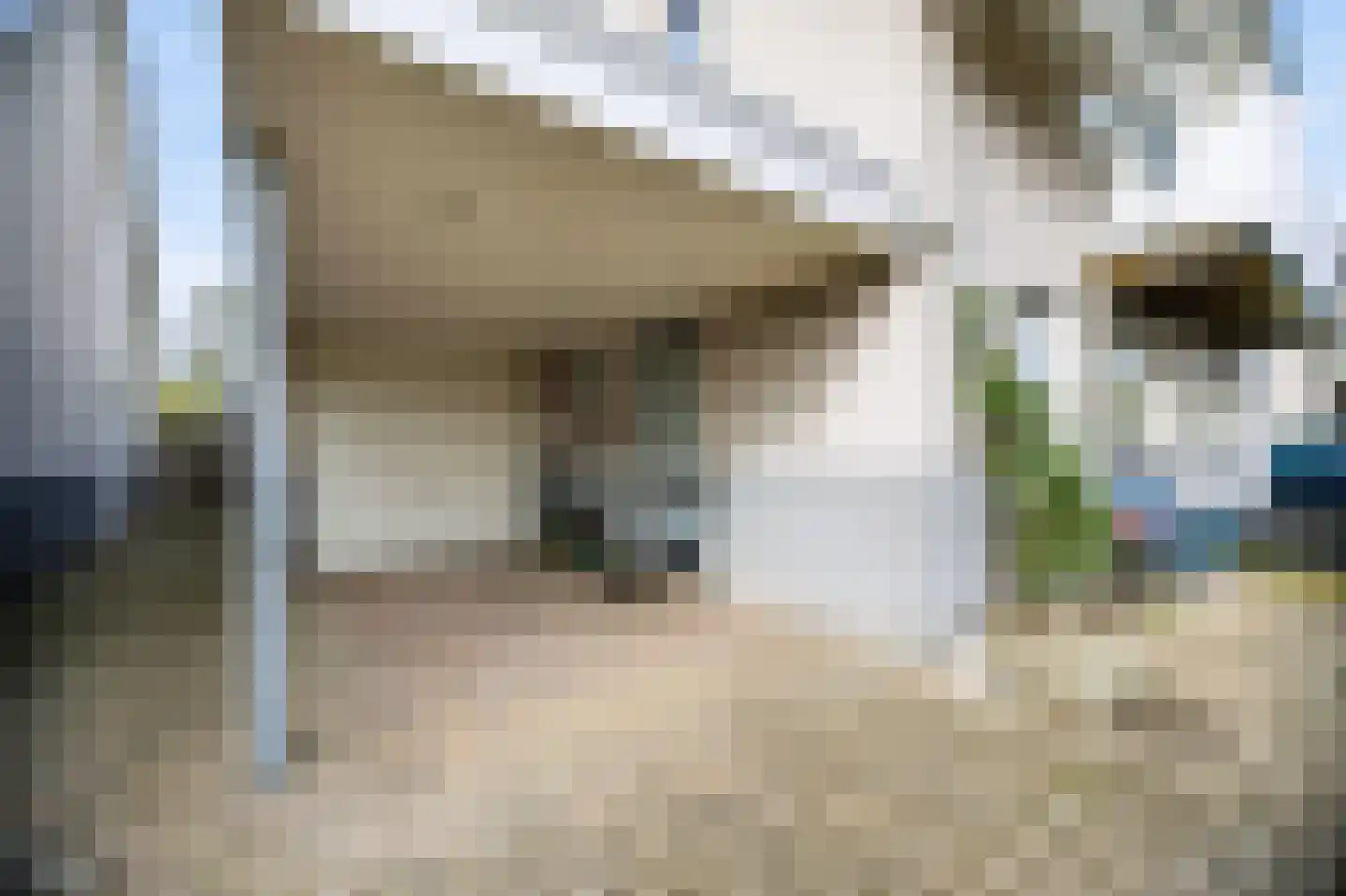 Kaapfeugel 32 Hippolytushoef thumbnail 13