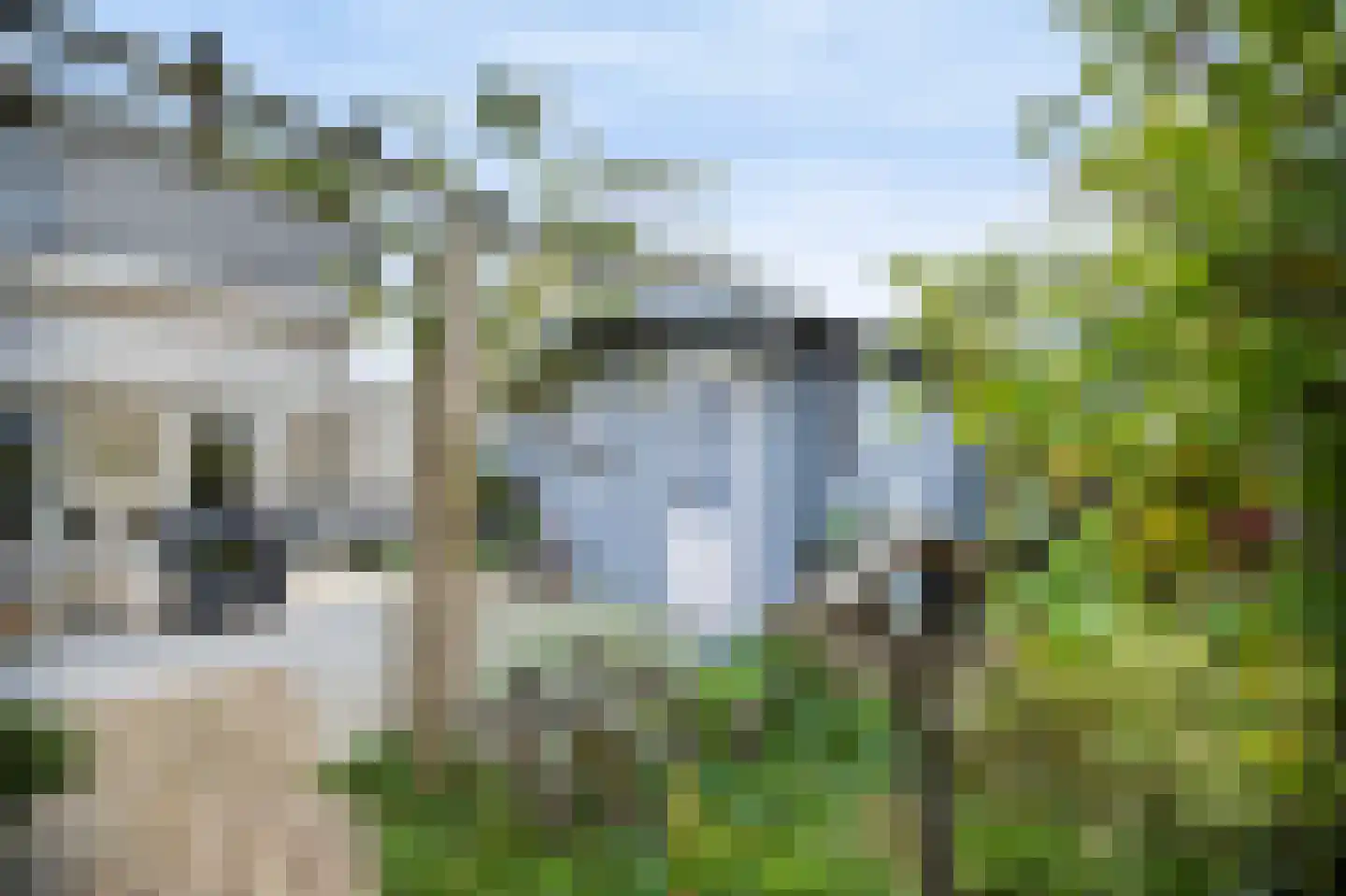 Kaapfeugel 32 Hippolytushoef thumbnail 16