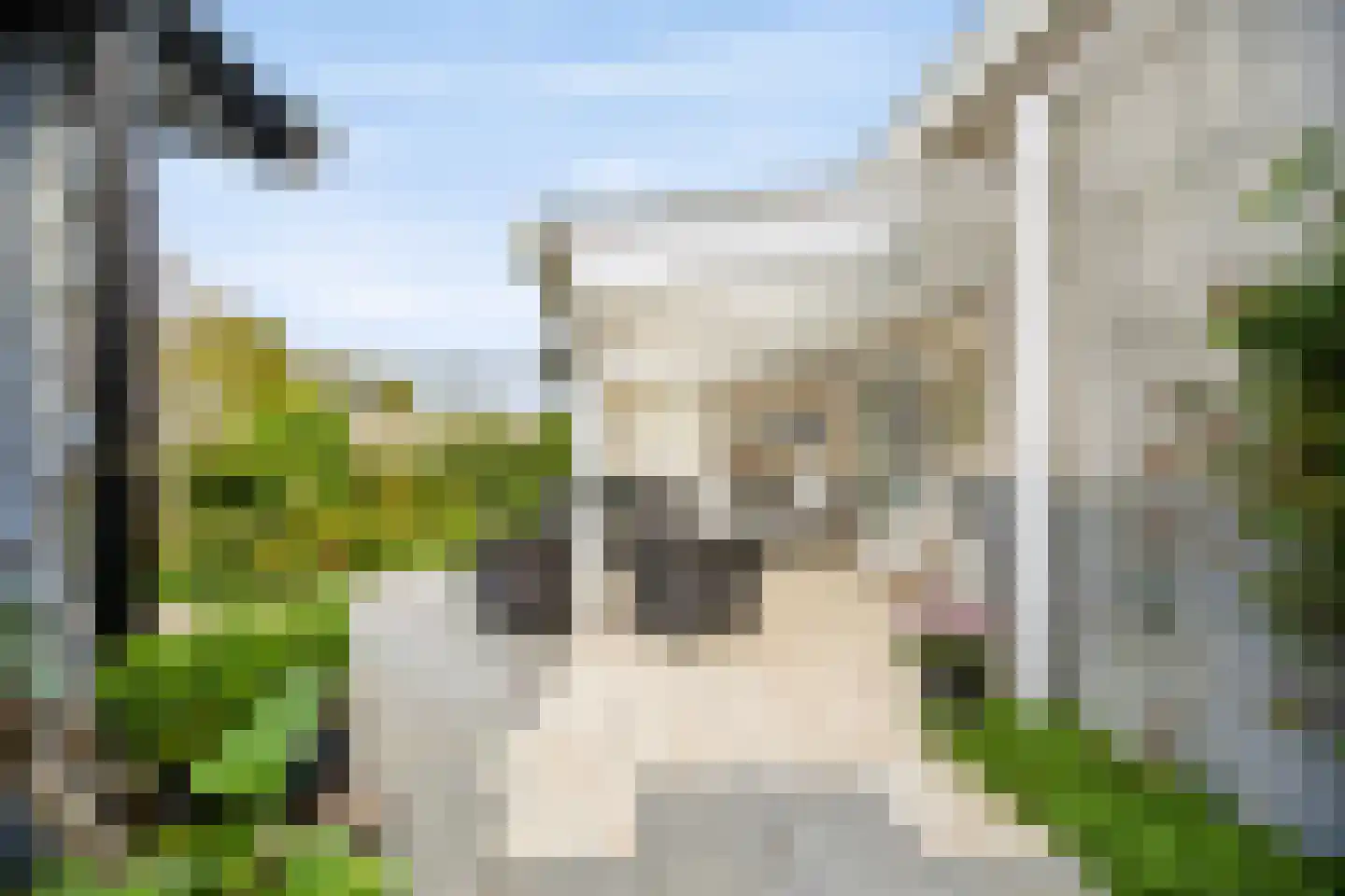 Kaapfeugel 32 Hippolytushoef thumbnail 19