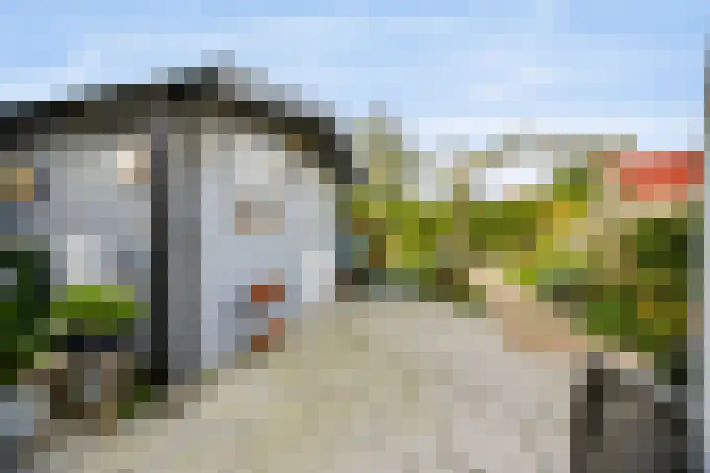 Kaapfeugel 32 Hippolytushoef thumbnail 21