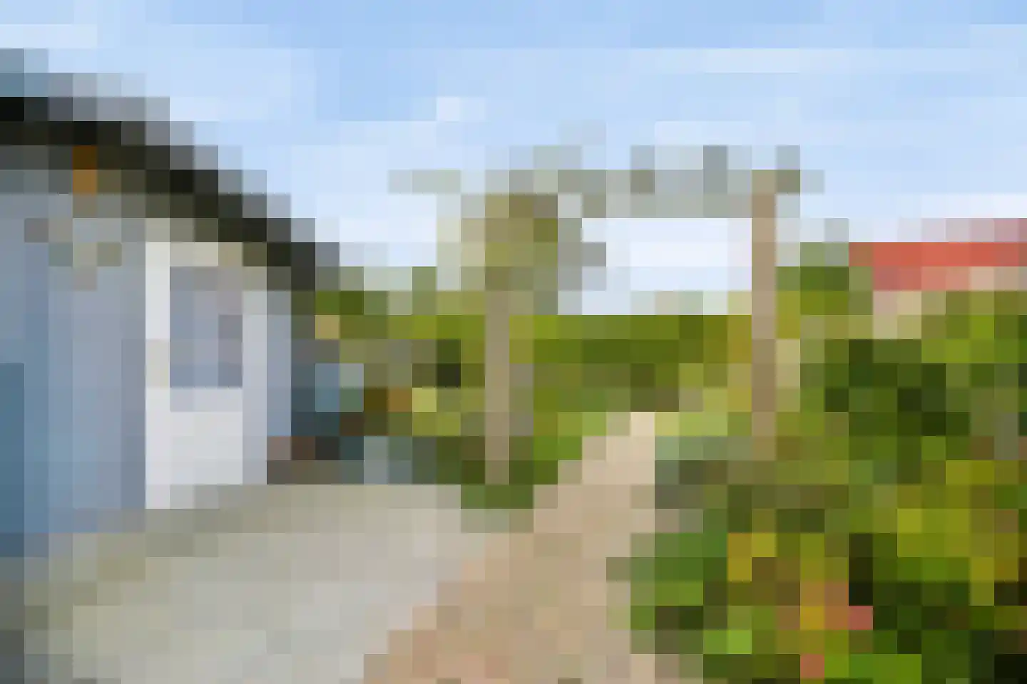 Kaapfeugel 32 Hippolytushoef thumbnail 22