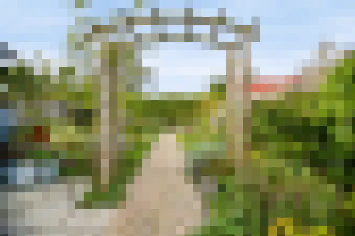 Kaapfeugel 32 Hippolytushoef thumbnail 23