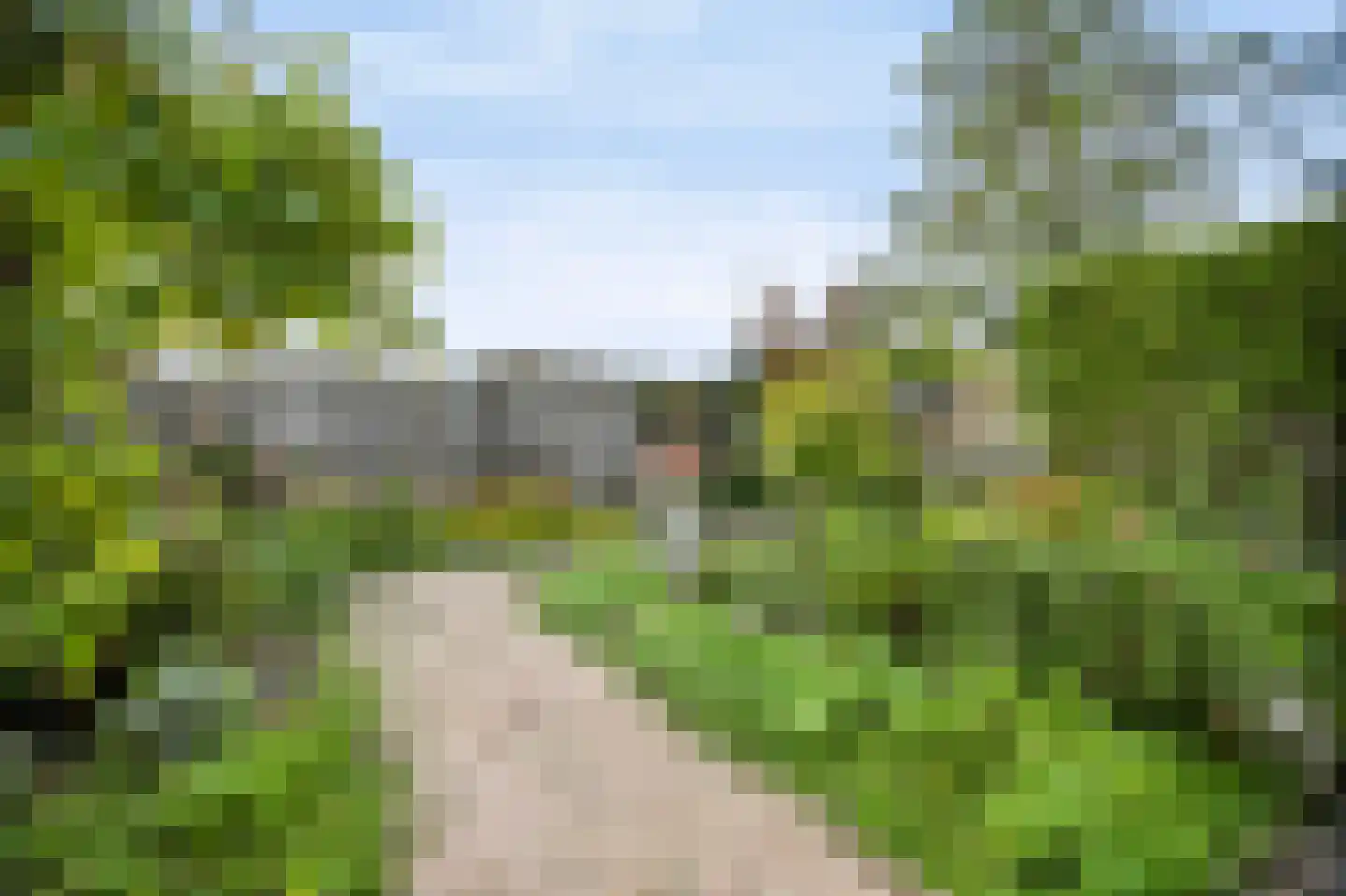 Kaapfeugel 32 Hippolytushoef thumbnail 24