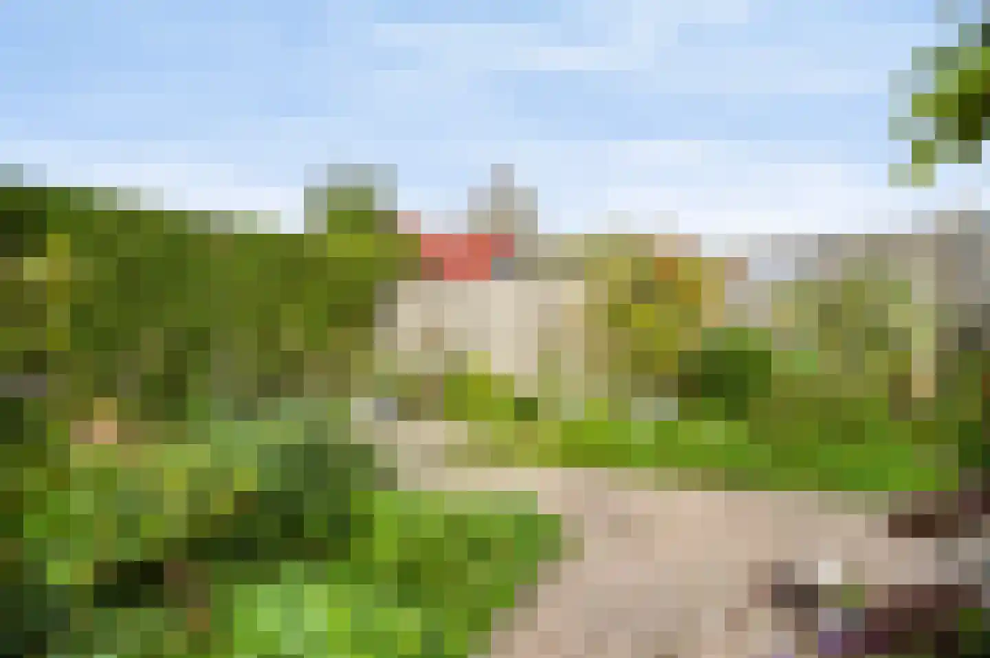 Kaapfeugel 32 Hippolytushoef thumbnail 25