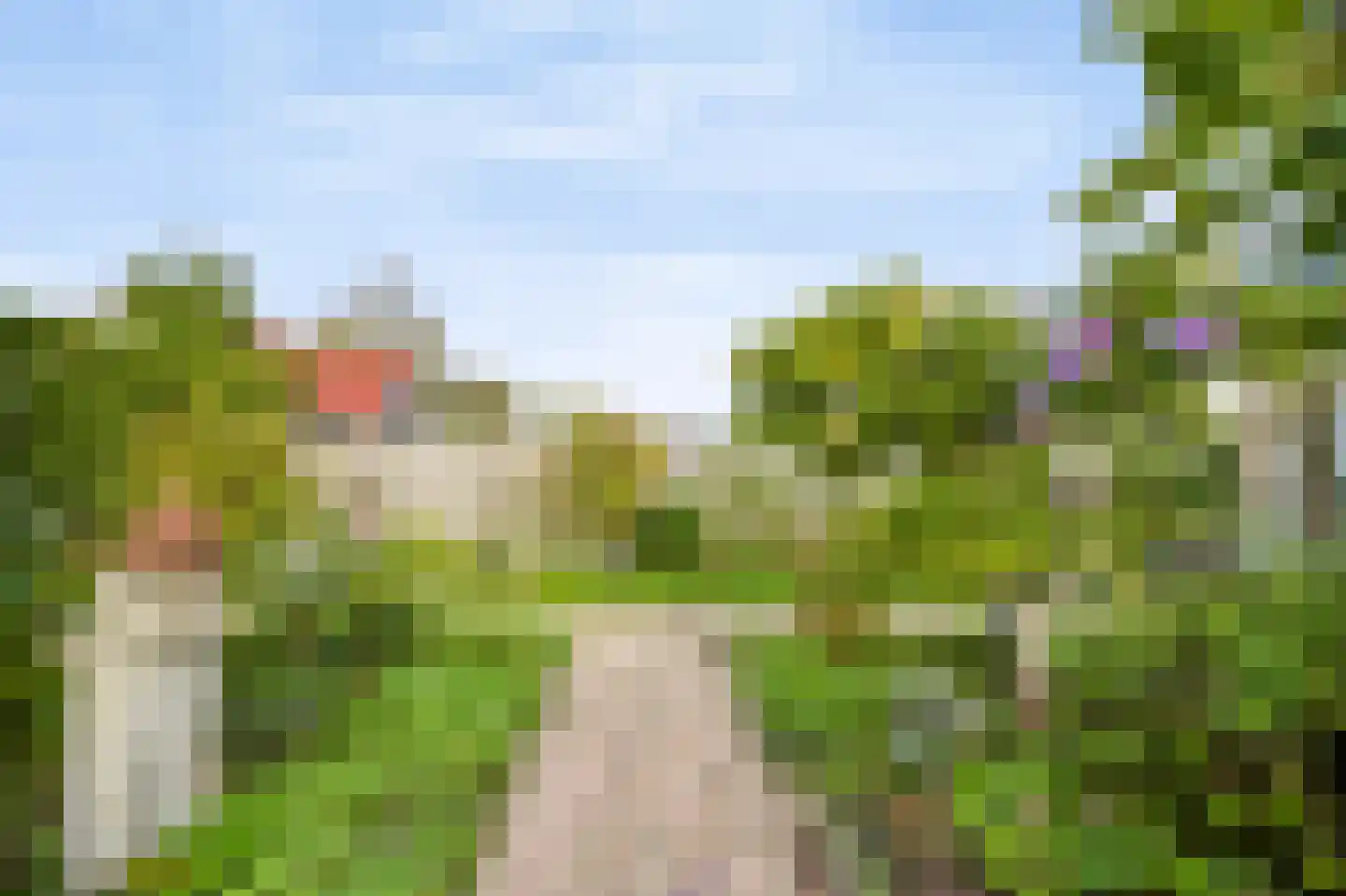 Kaapfeugel 32 Hippolytushoef thumbnail 26
