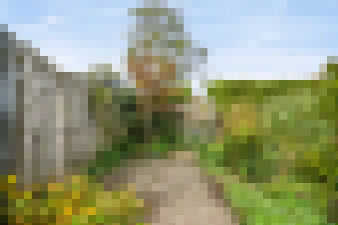 Kaapfeugel 32 Hippolytushoef thumbnail 27