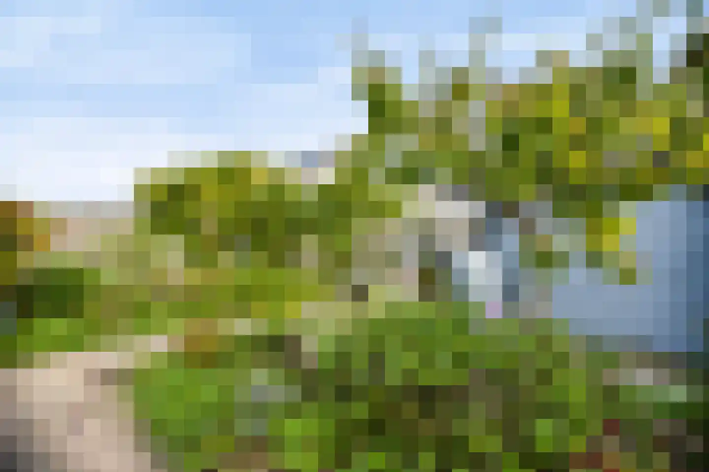 Kaapfeugel 32 Hippolytushoef thumbnail 28