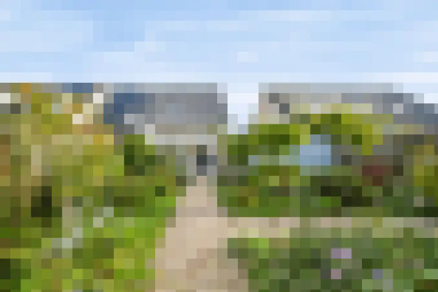 Kaapfeugel 32 Hippolytushoef thumbnail 29