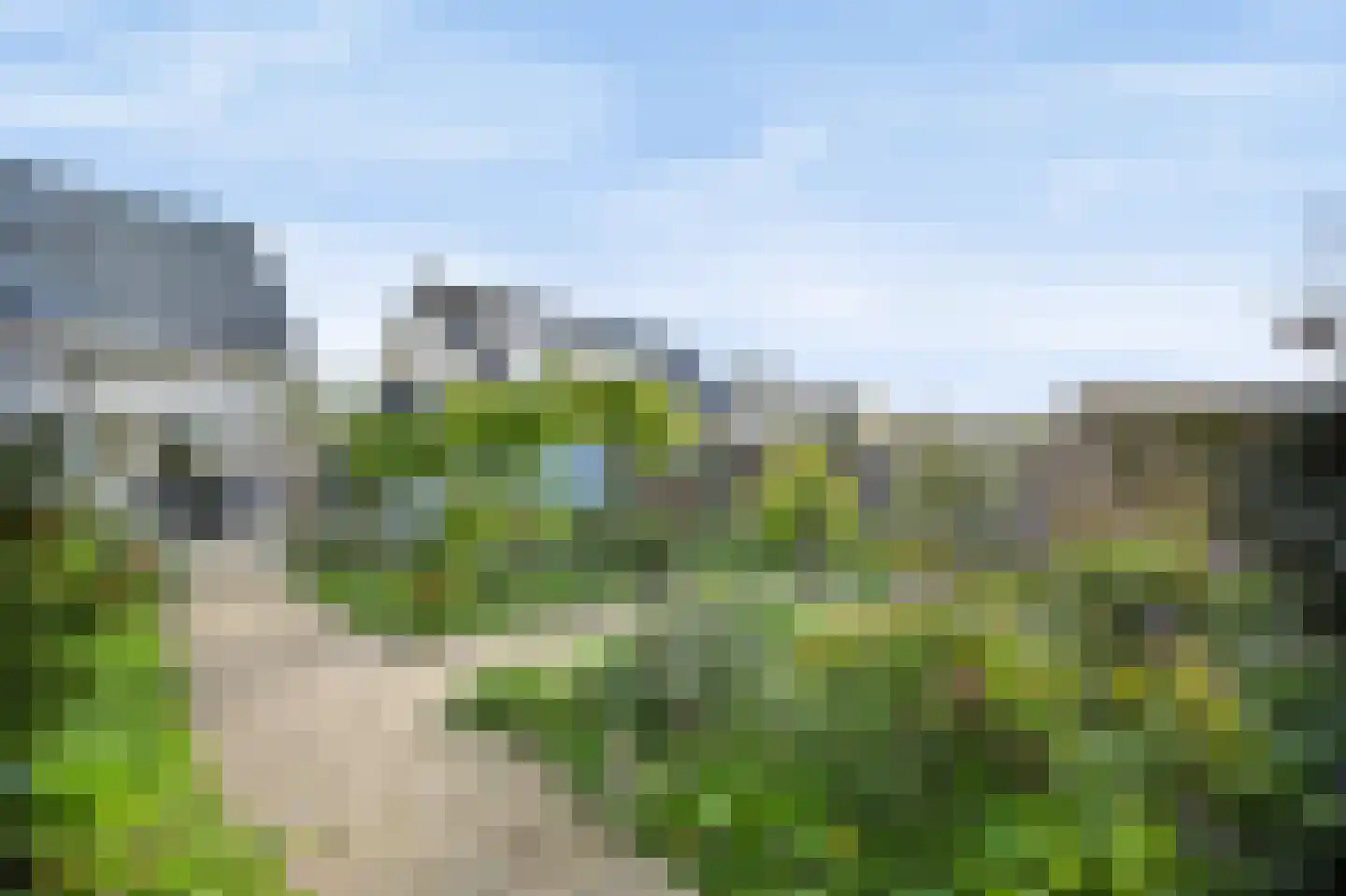 Kaapfeugel 32 Hippolytushoef thumbnail 30