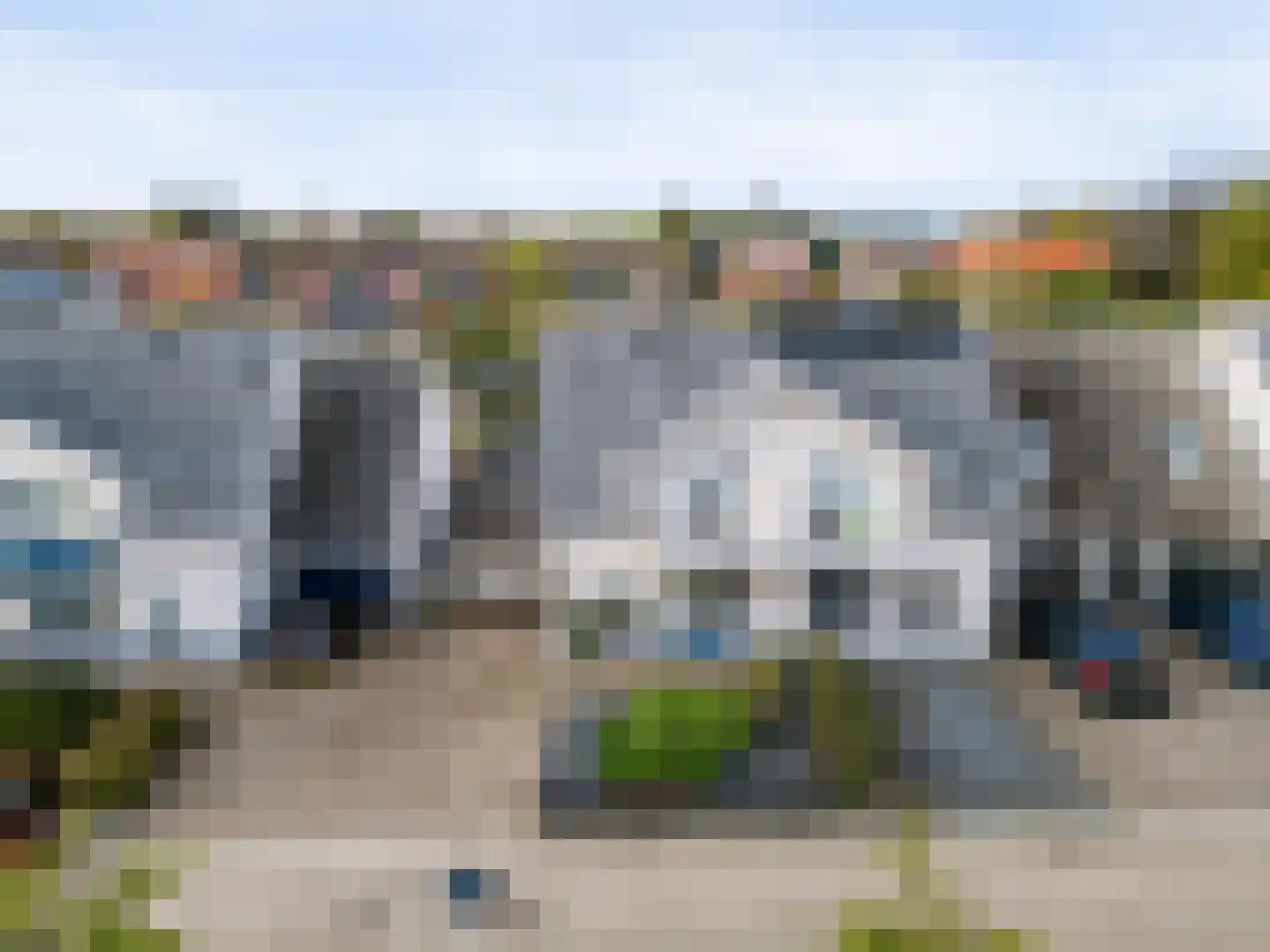 Kaapfeugel 32 Hippolytushoef thumbnail 4