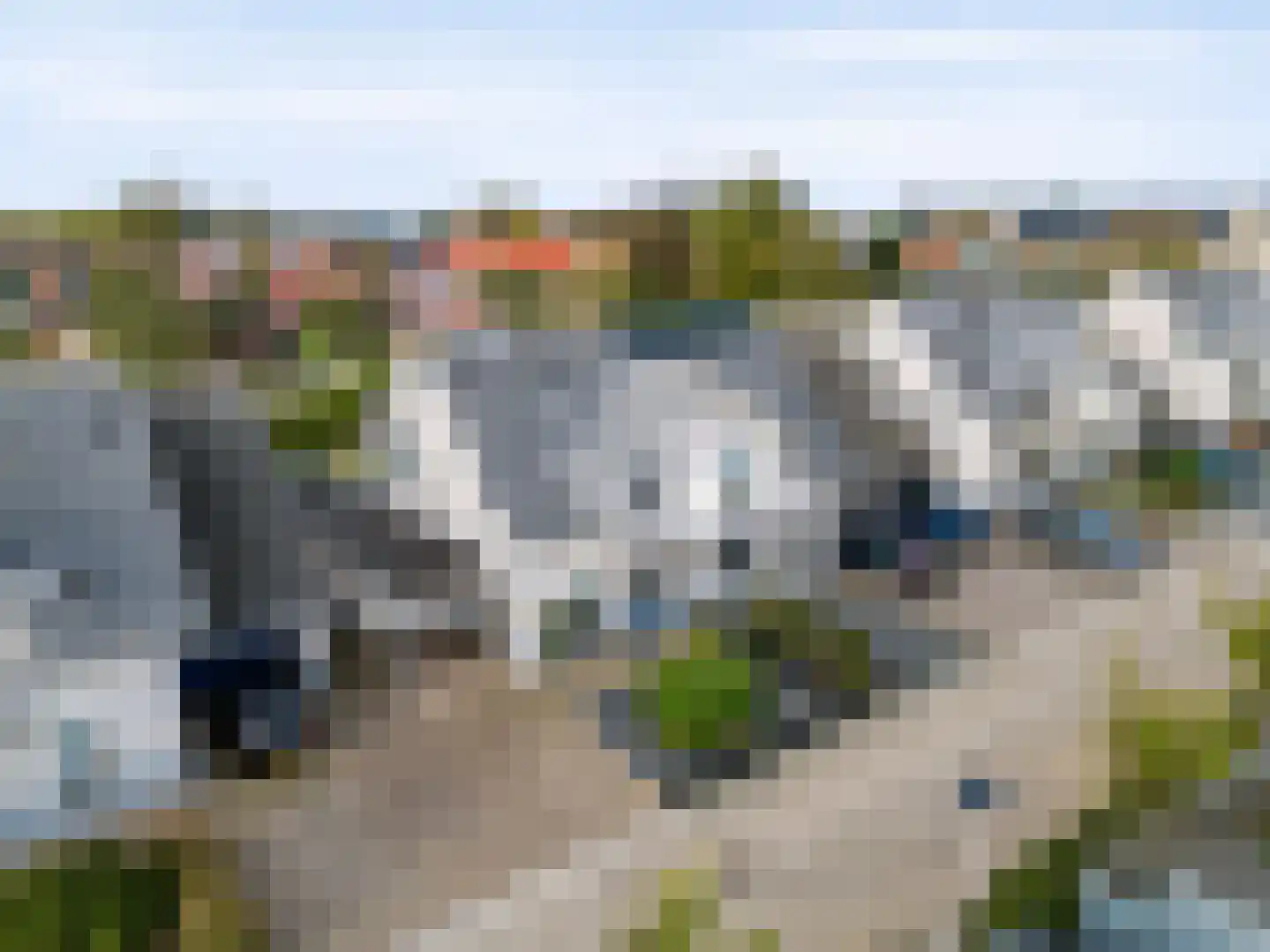 Kaapfeugel 32 Hippolytushoef thumbnail 5