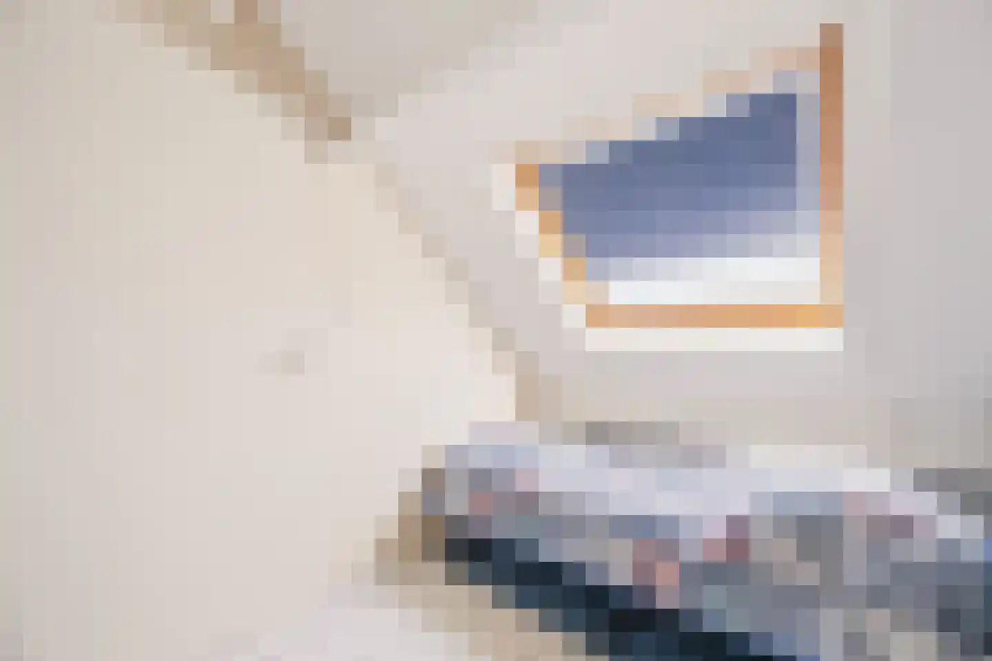 Kaapfeugel 32 Hippolytushoef thumbnail 69